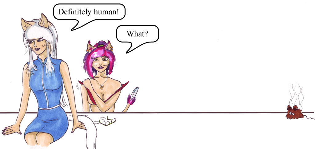 panel01