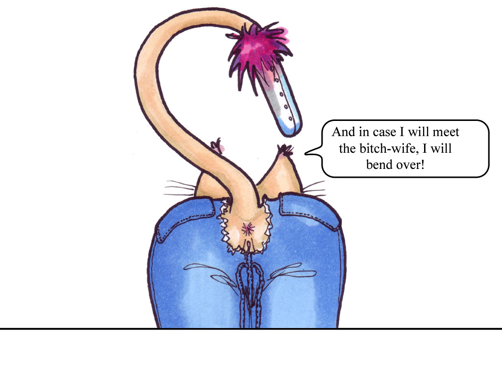 panel 13