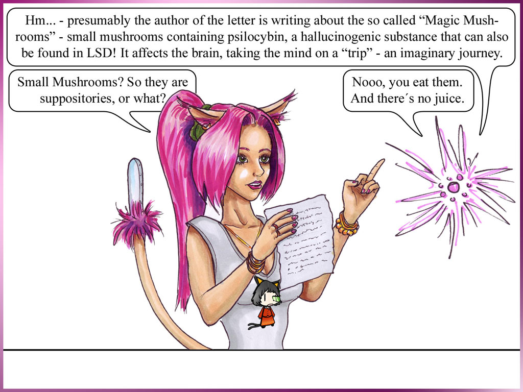 panel01