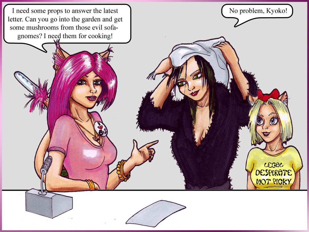 panel08
