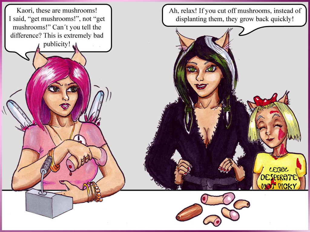 panel13