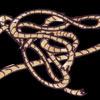 3-KyokoBondage